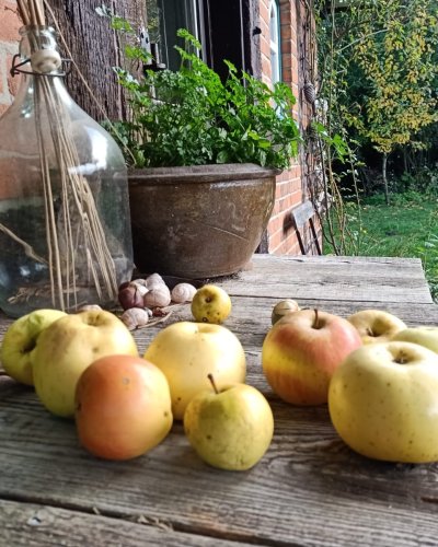 Obstbaumbestellung zum Martfelder Tag des Baumes 2024
