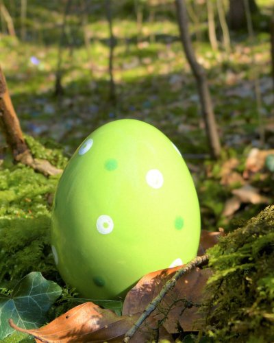 Ostereiersuche im Echterkamp in Martfeld