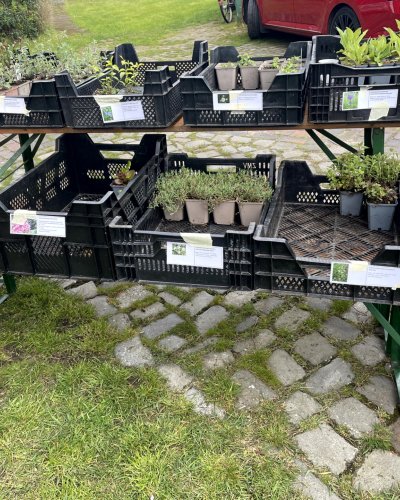 Stauden machen glücklich